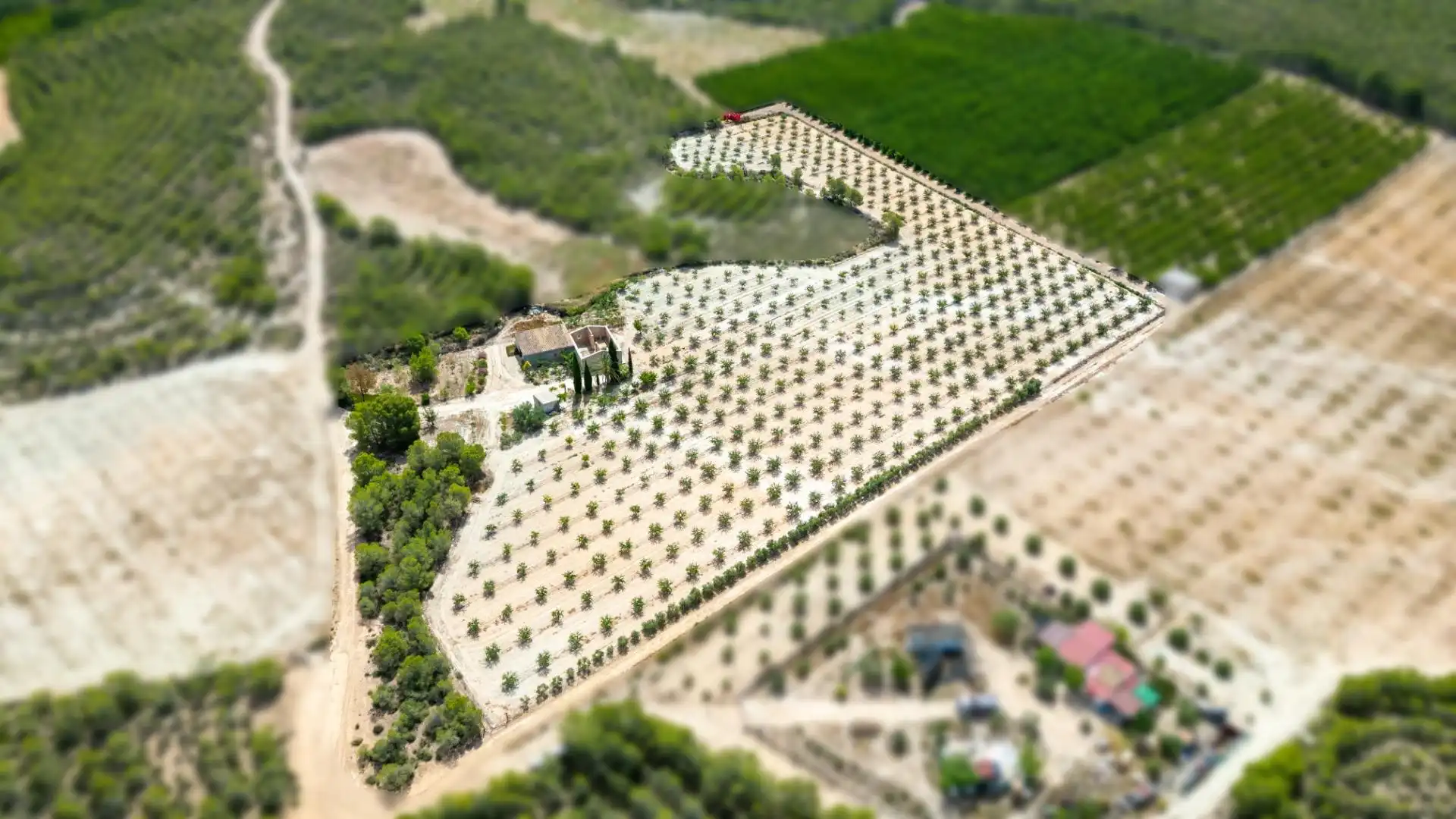 Casa o xalet en venda en Cieza