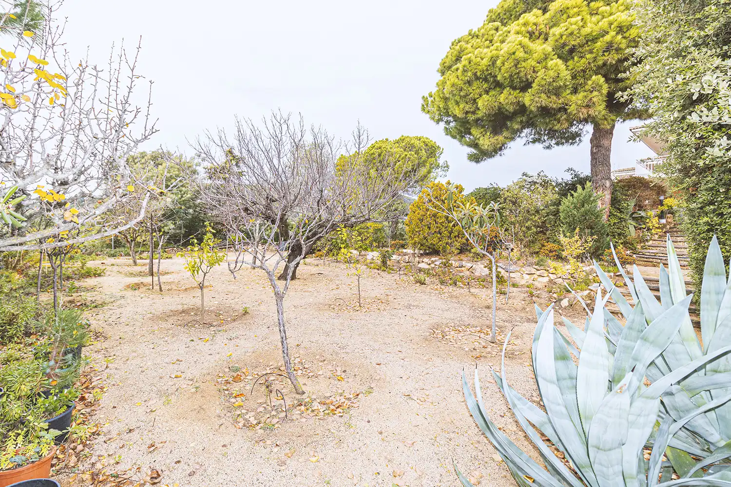 Casa o xalet en venda en Sant Pol de Mar amb Calefacció, Jardí privat i Terrassa