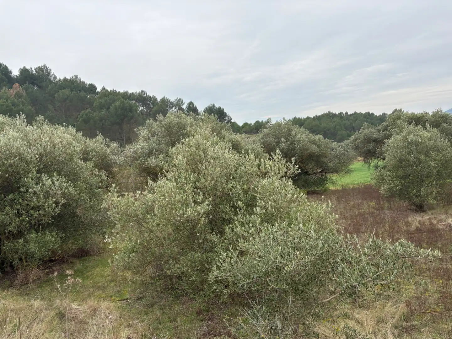 Terreno rústico en venta en Lardero, imagen 7