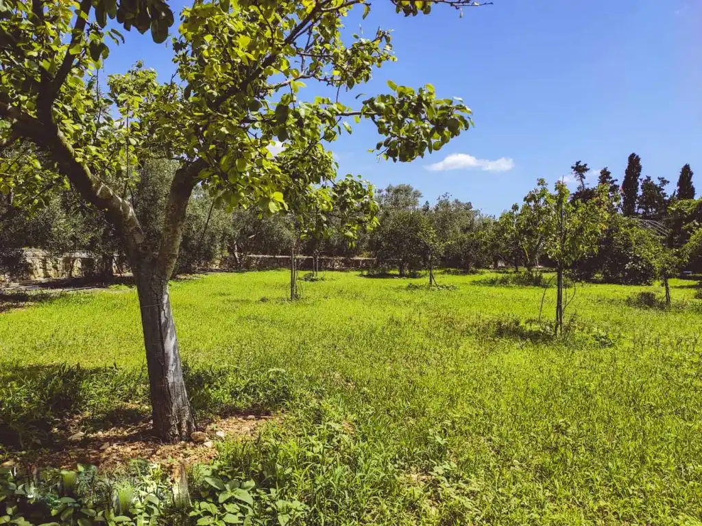 Finca rústica en venda en Marratxí amb Aire condicionat, Calefacció i Terrassa