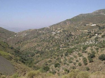 Terreno rústico en venta en Sedella