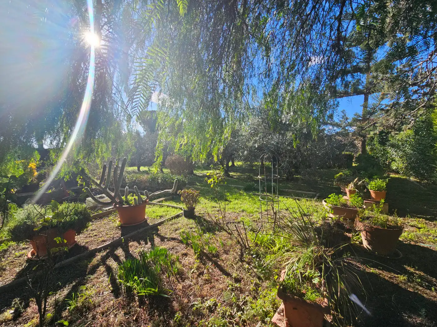 Garten von Country house zum Verkauf in Reus mit Klimaanlage, Privatgarten und Terrasse