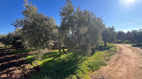 Photo 2 of Country house for sale in Centro, Málaga