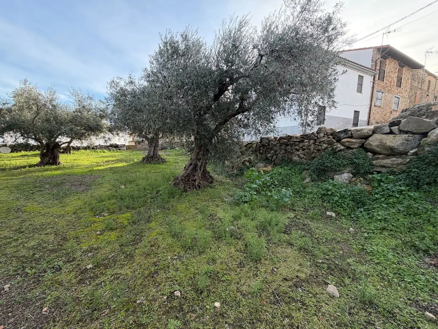 Residencial en venta en Gargüera