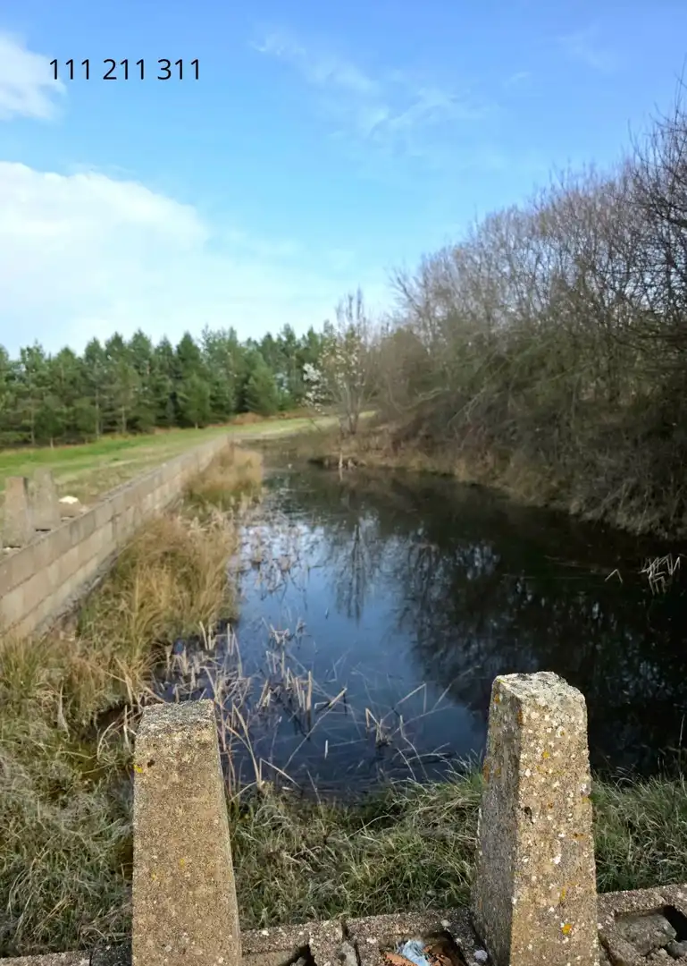 Vista exterior de Casa o xalet en venda en Pomar de Valdivia amb Calefacció, Jardí privat i Terrassa