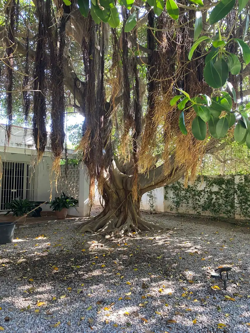 Casa amb piscina en venda a Benamara - Atalaya, imagen 18