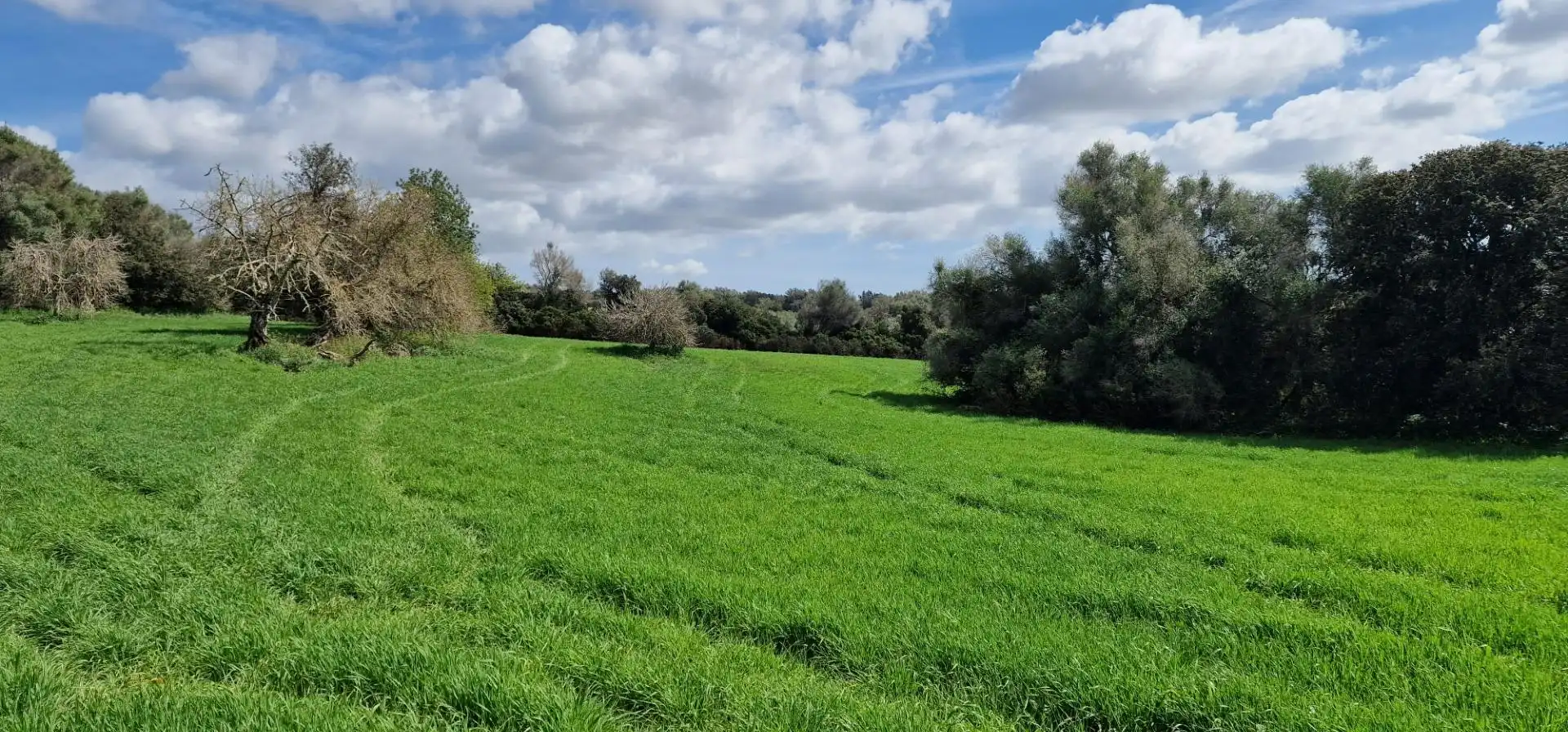 Country homes for sale in Manacor