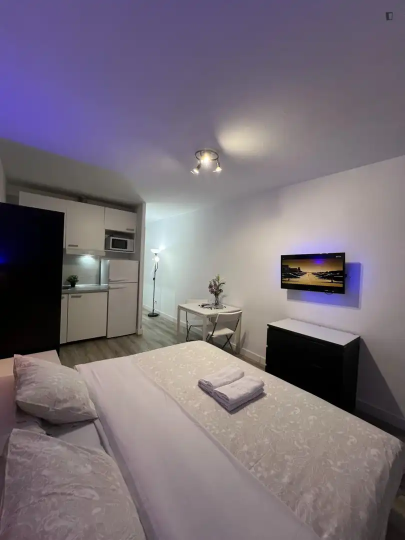 Estudio en alquiler en Chamberí, imagen 4