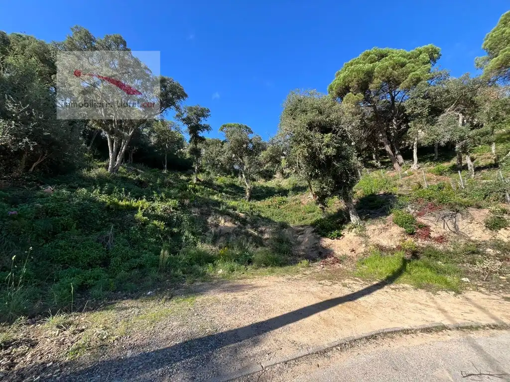 Terreno residencial en venta en Serra Brava, imagen 7