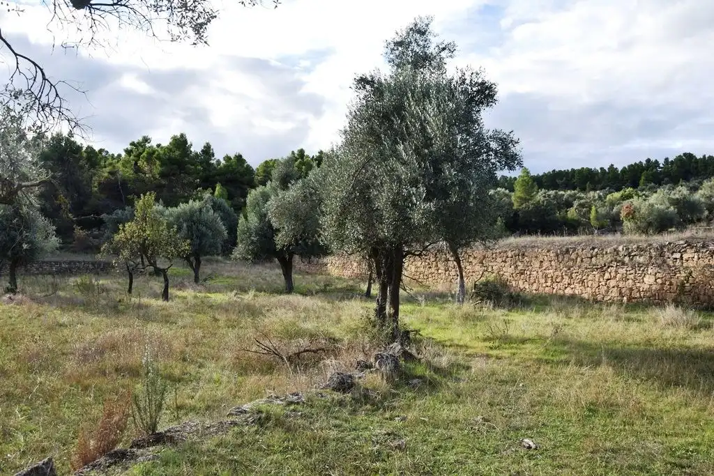 Terreni e lotti in vendita a Valderrobres, imagen 5