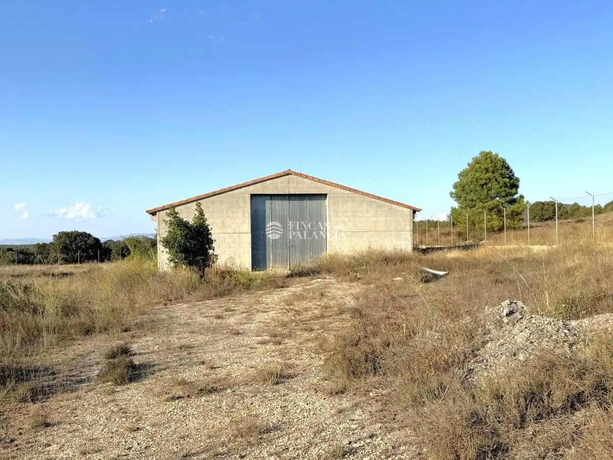 Industrial buildings for rent in Barracas