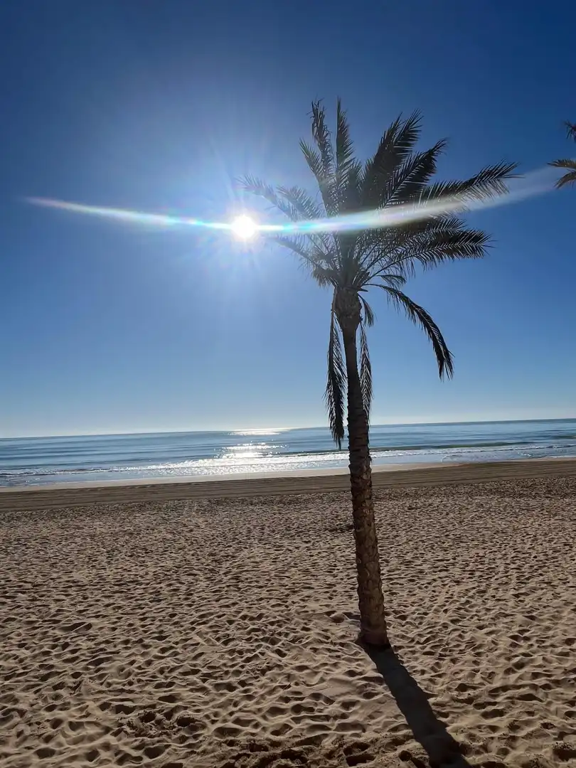Vista exterior de Apartamento en venta en Guardamar del Segura con Terraza y Amueblado