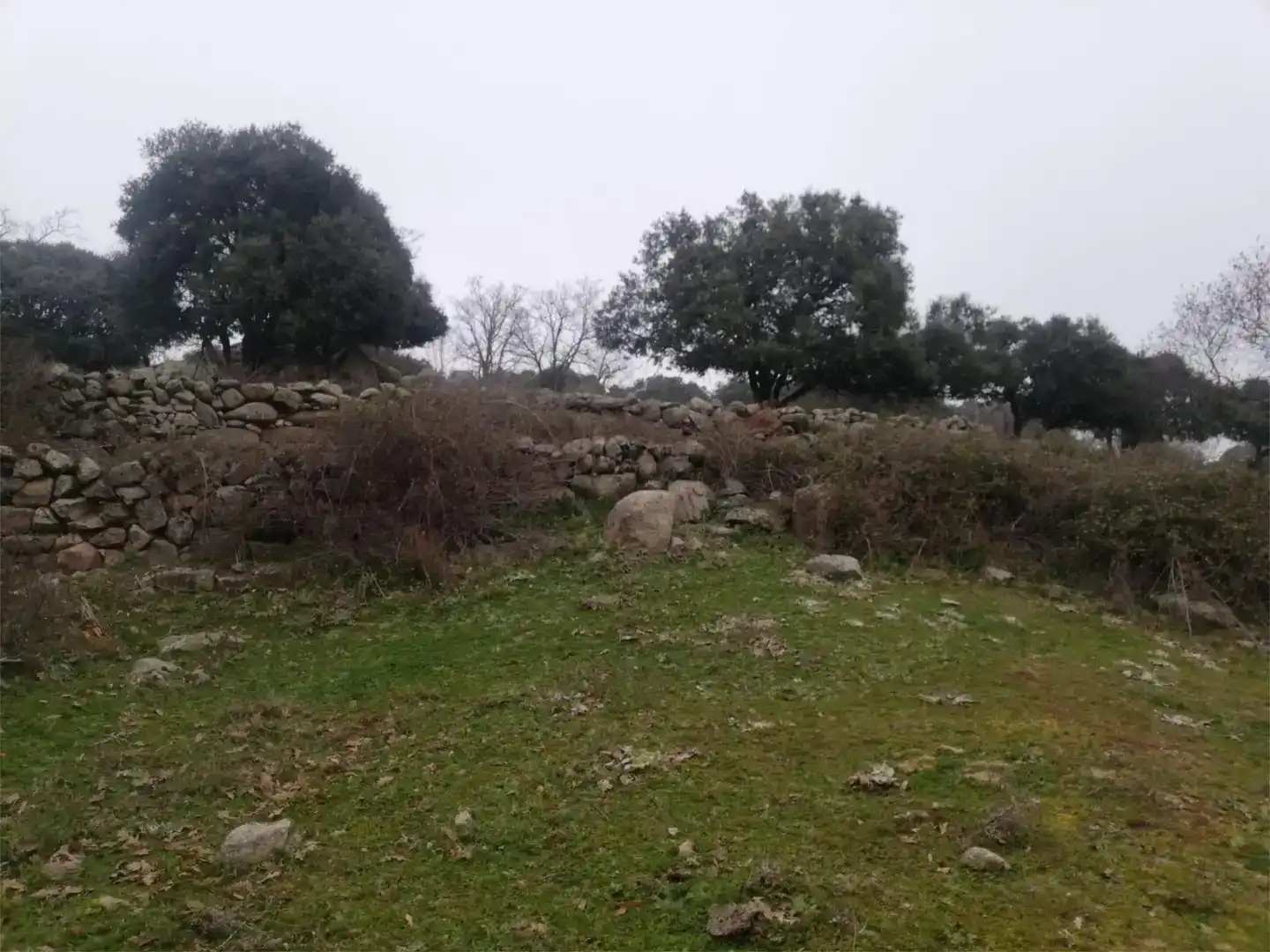 Terreno en venta en Bustarviejo