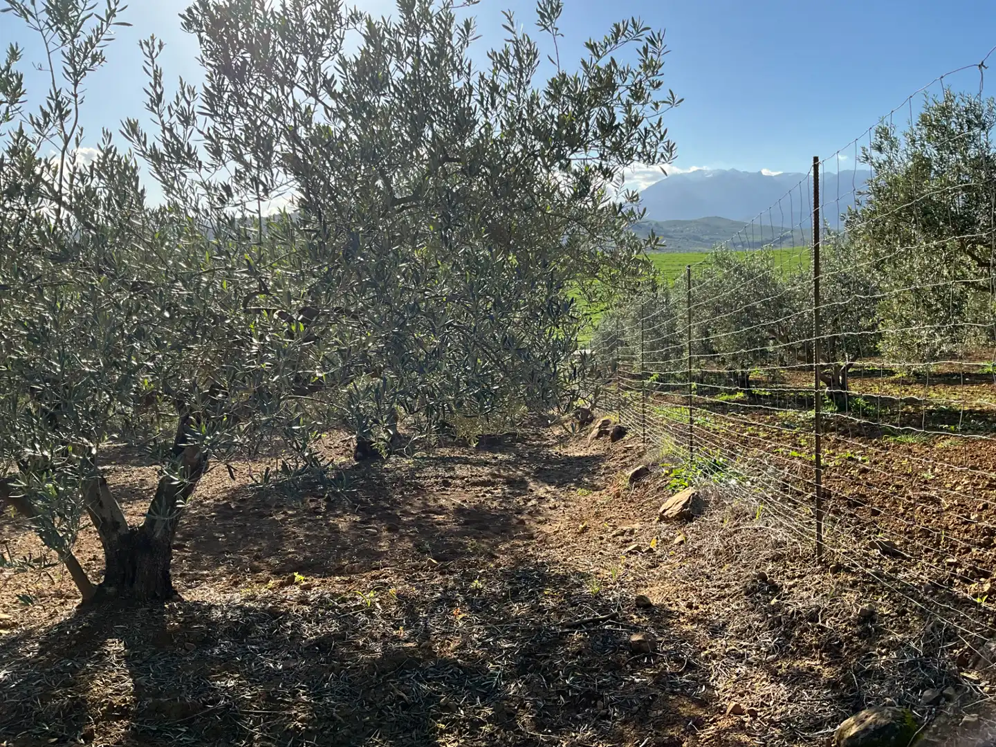 Terreno en venta en Alozaina
