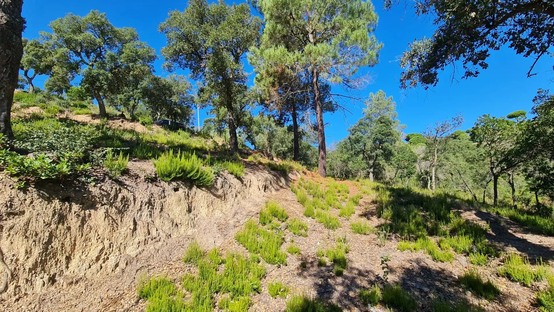 Terreno residencial en venta en Lloret Residencial - Montlloret, imagen 4