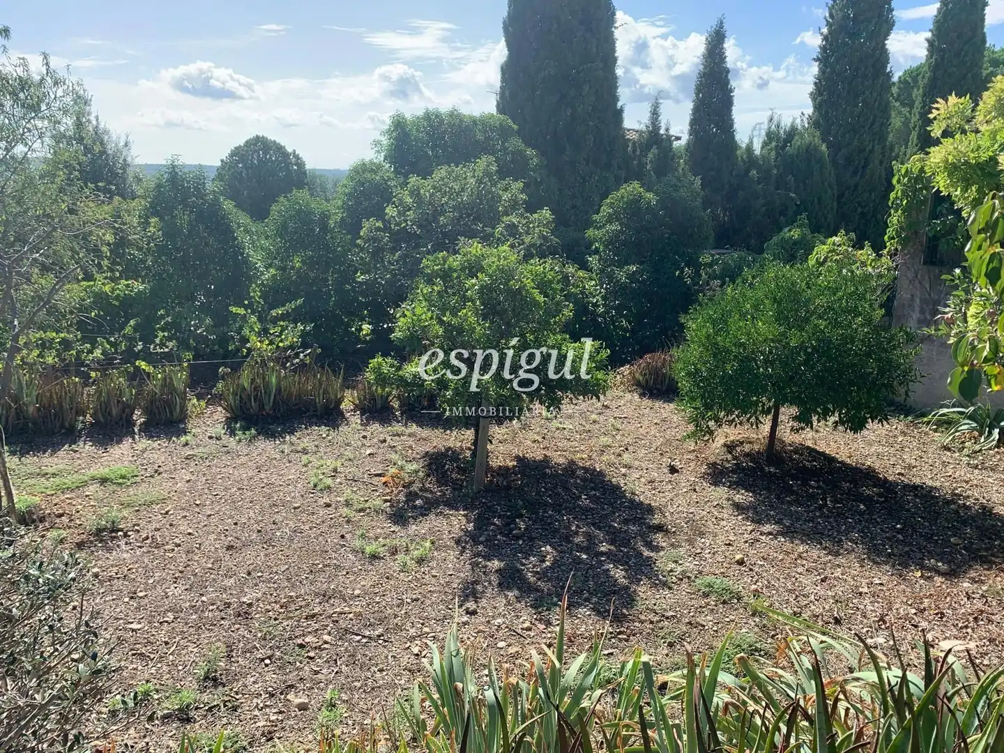 Land for sale in Dels pirineus, Bàscara