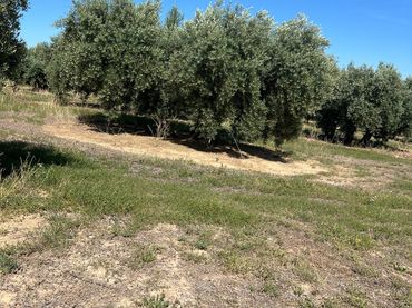 Terreno rustico in vendita a Priego de Córdoba