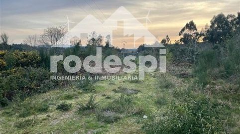 A Cañiza, immagine 2
