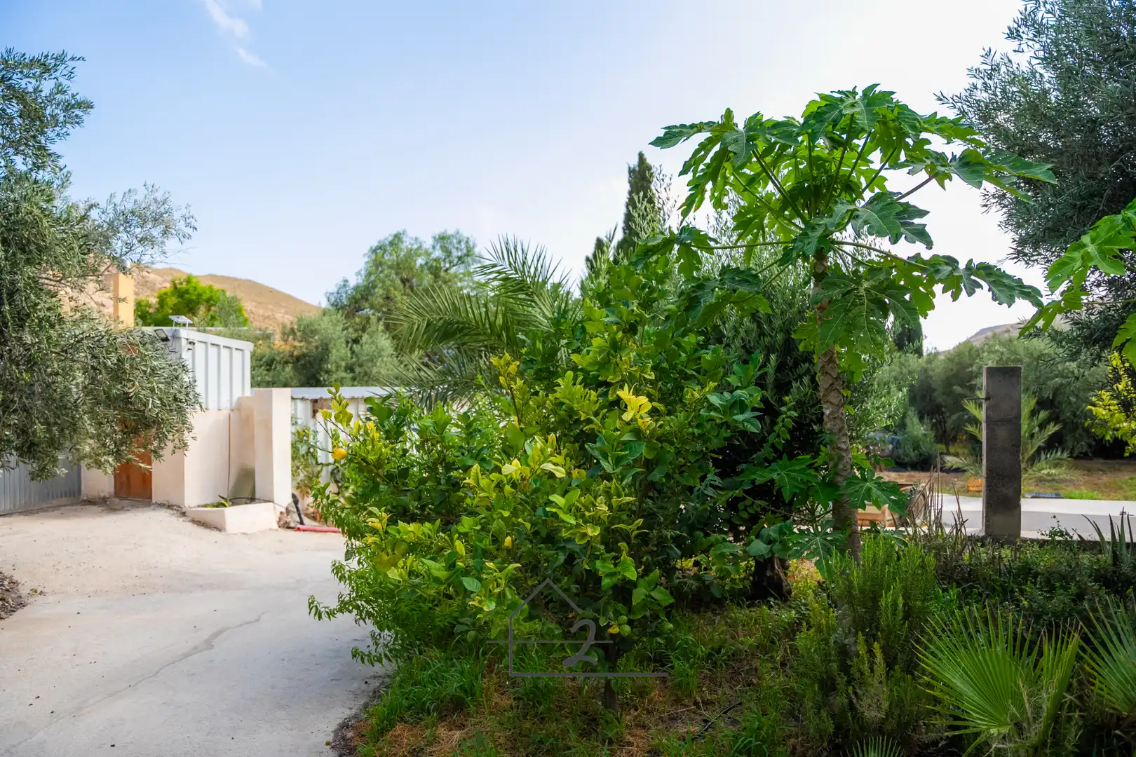 Garden of Land for sale in Vícar