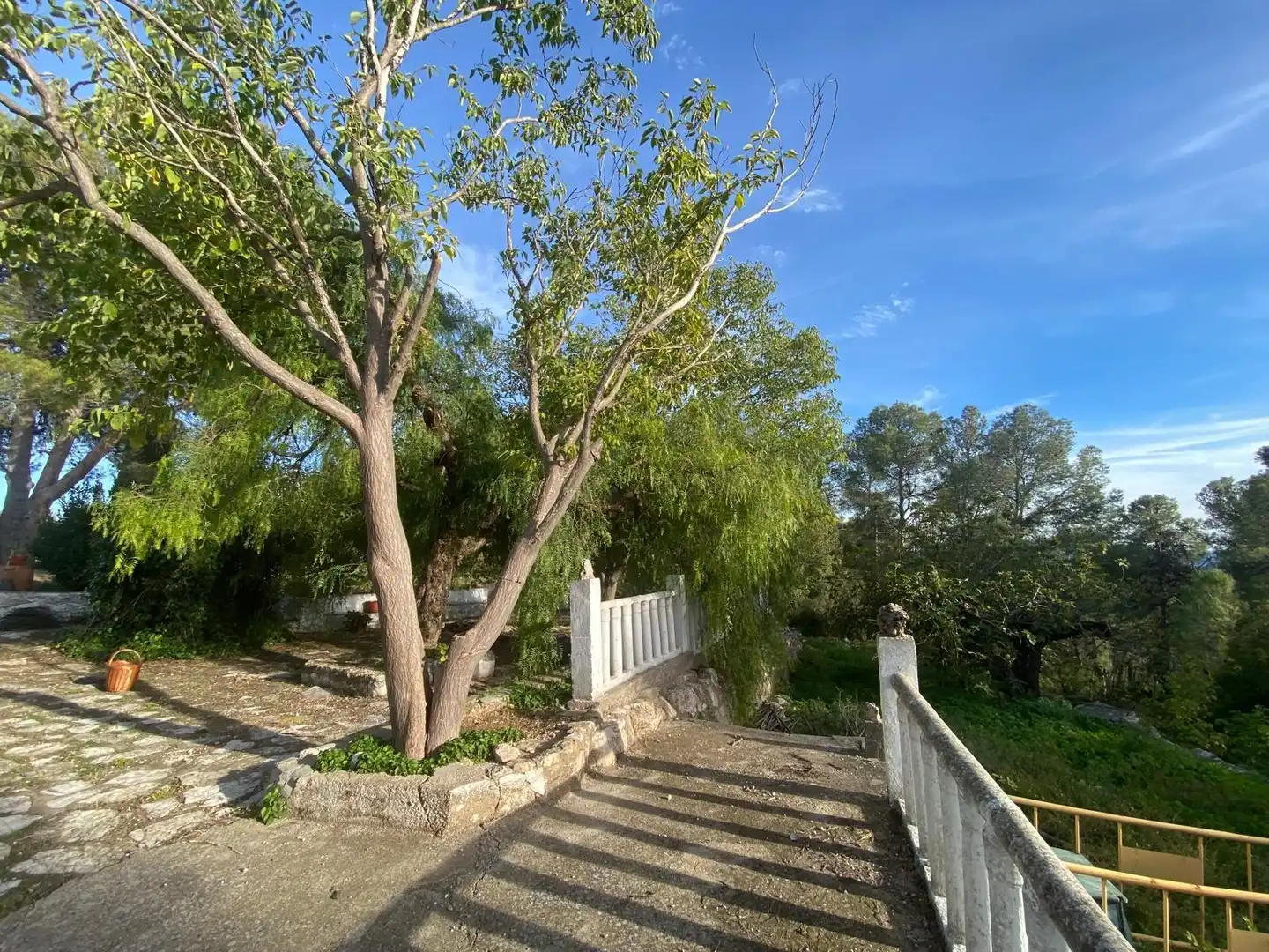 Casa rustica in vendita a Enguera, imagen 31