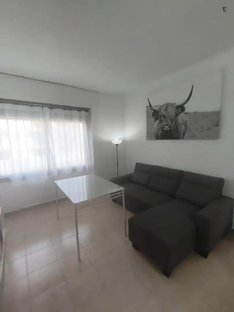 Living room of Study for rent in Sevilla  with Air Conditioner, Heating and Furnished