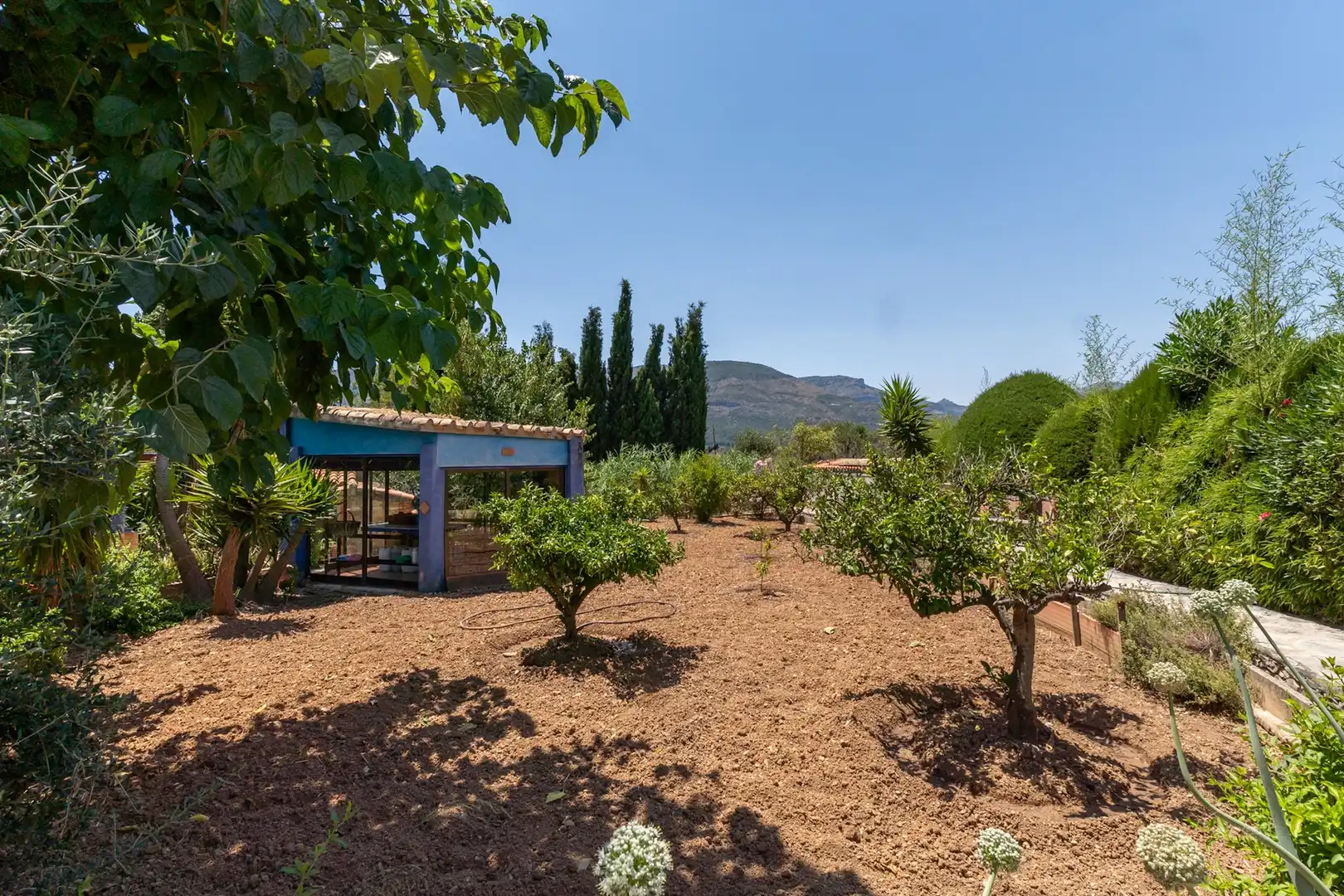 Maison à vendre à Murla, imagen 22