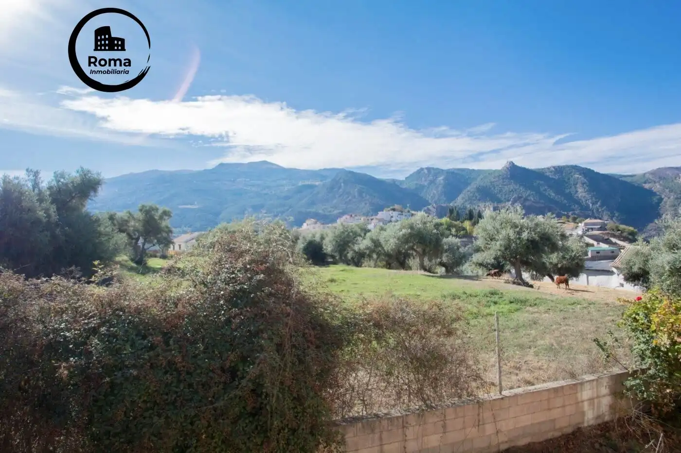 Villa con terrazza in vendita a Calle Fuente 16 Caños, imagen 57