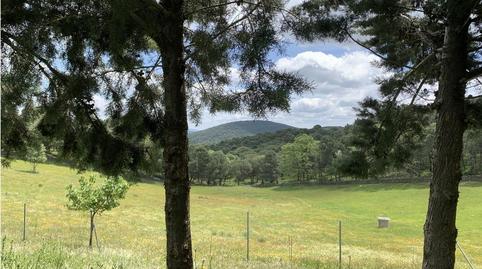 Photo 4 of Houses for sale in Calera de León, Badajoz