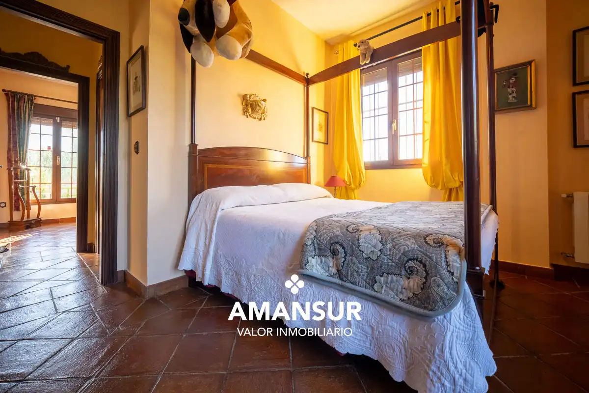 Chalet con piscina en venta en Avenida del Almendro, imagen 72