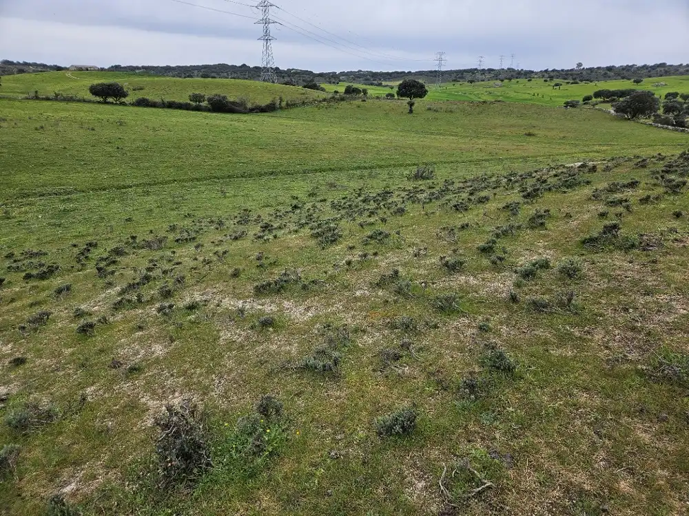 Terreni e lotti in vendita a Navas del Madroño, imagen 6