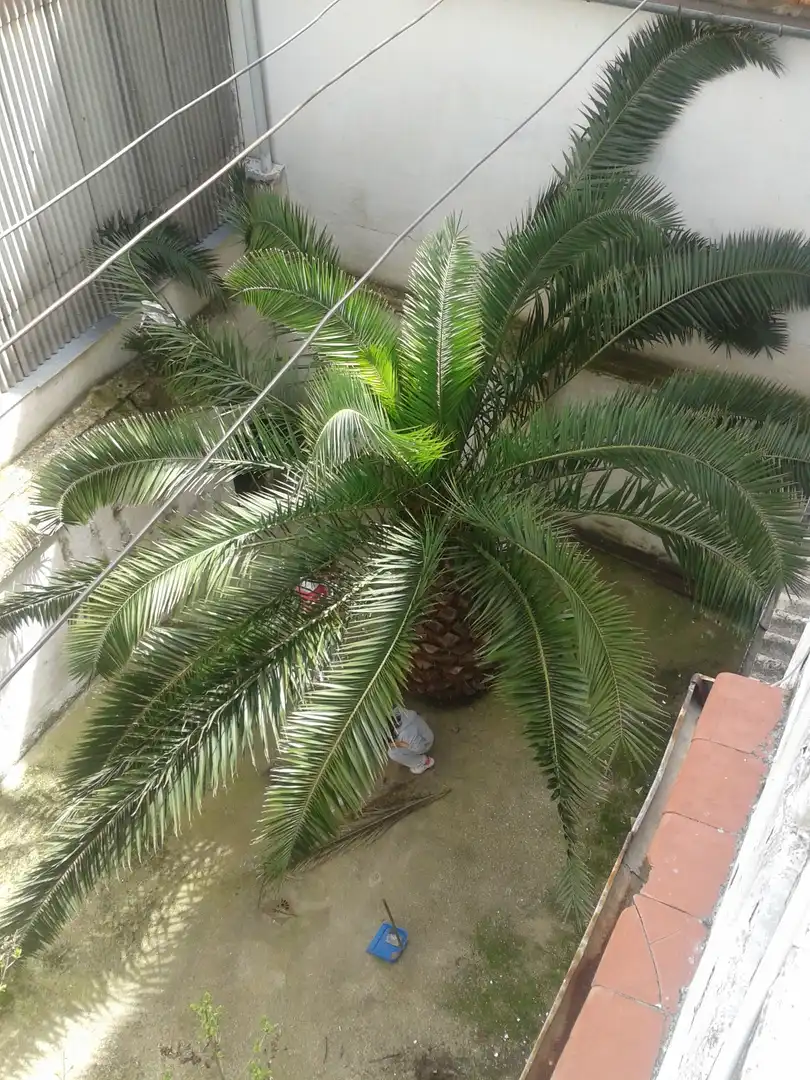 Casa en venta en Úbeda, imagen 4