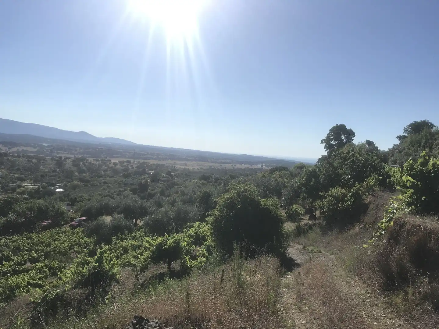 Terreni e lotti in vendita a Malpartida de Plasencia, imagen 3