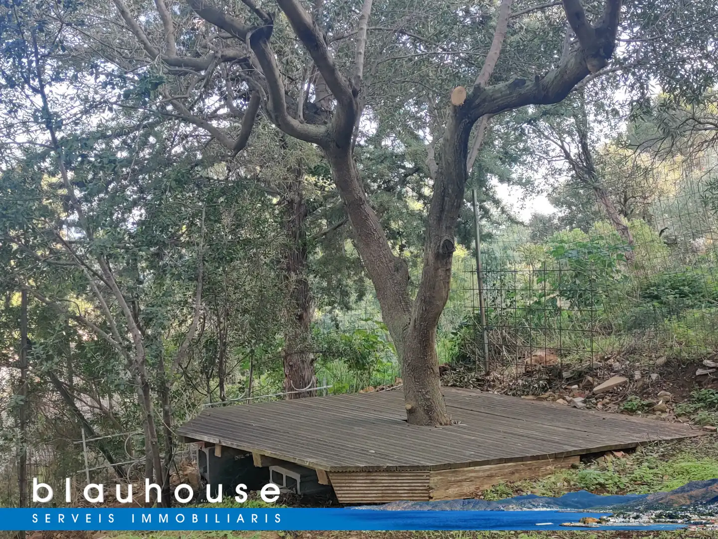 Vista exterior de Casa o chalet en venta en El Port de la Selva con Aire acondicionado, Calefacción y Jardín privado