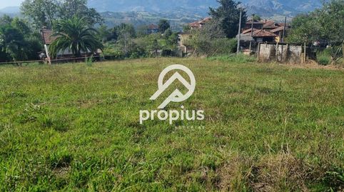FANTASTICA FINCA EDIFICABLE EN ARENES DE PARRES, immagine 2