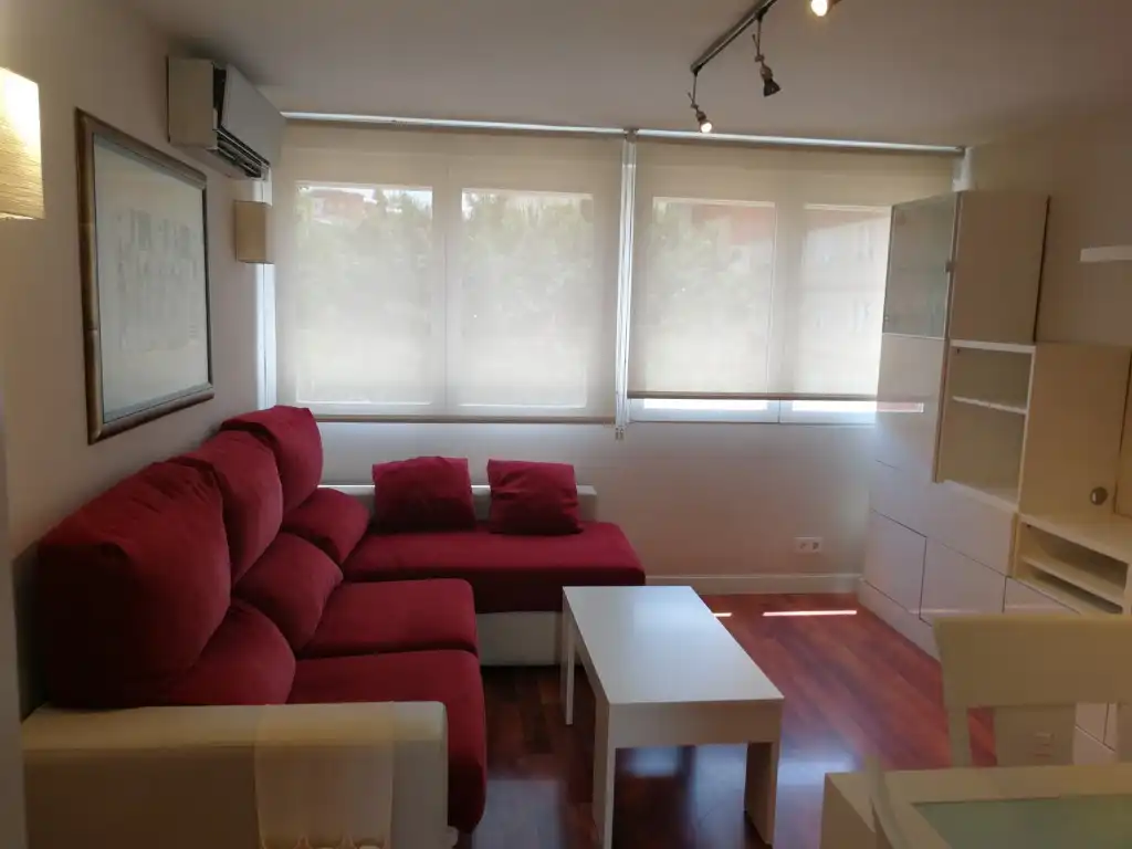 Sala de estar de Apartamento de alquiler en Madrid