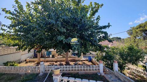 Foto 5 de Finca rústica en venta en Doctor Palos - Alto Palancia, Sagunto / Sagunt