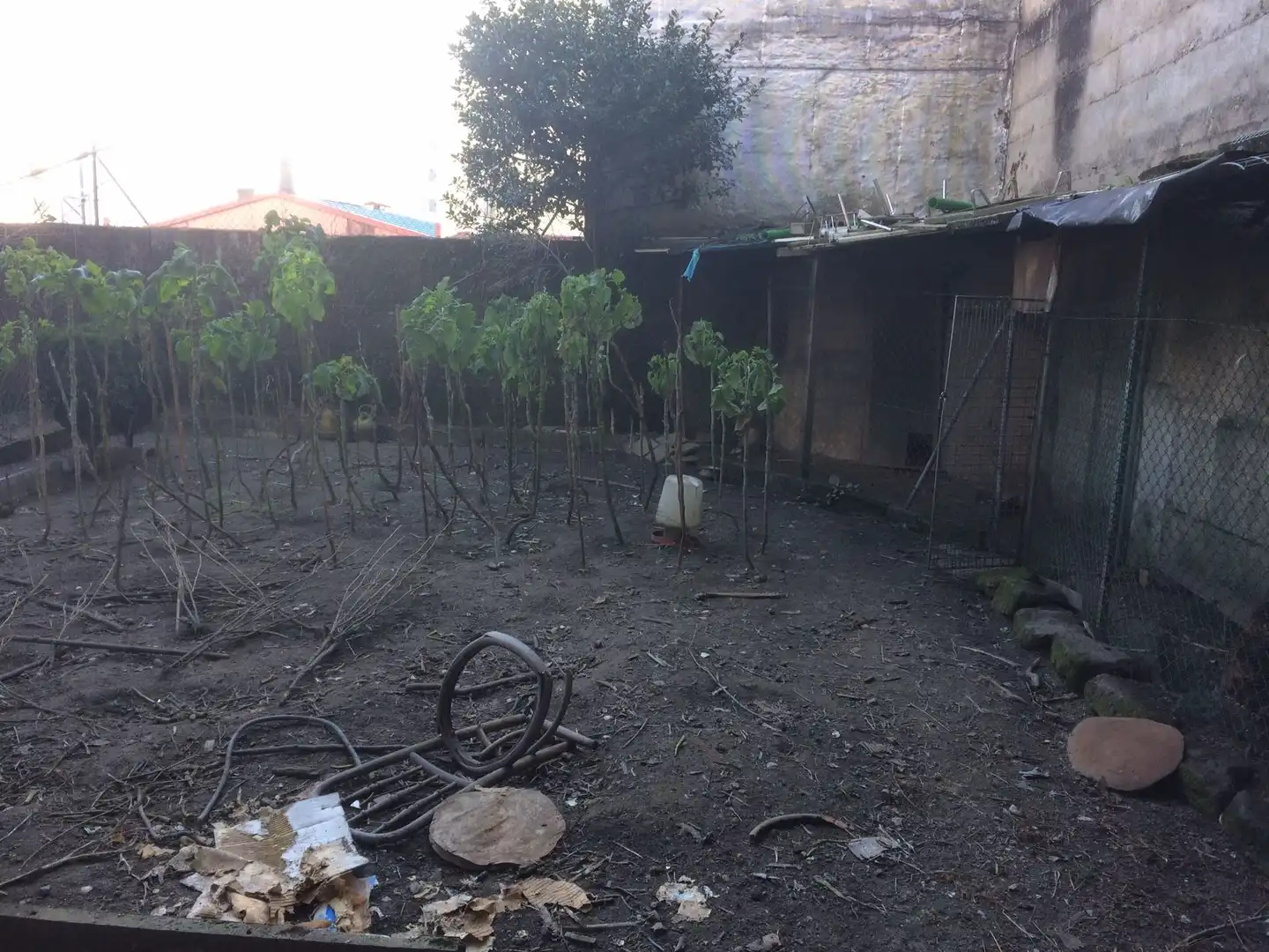 Maison avec terrasse à vendre à Rúa Curros Enríquez, imagen 2