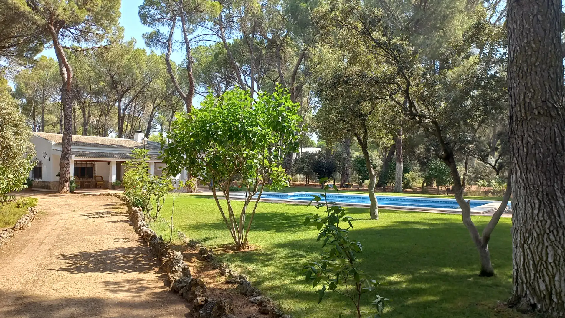 Villa mit Pool zum Verkauf in Pedanías - Extrarradio, imagen 2