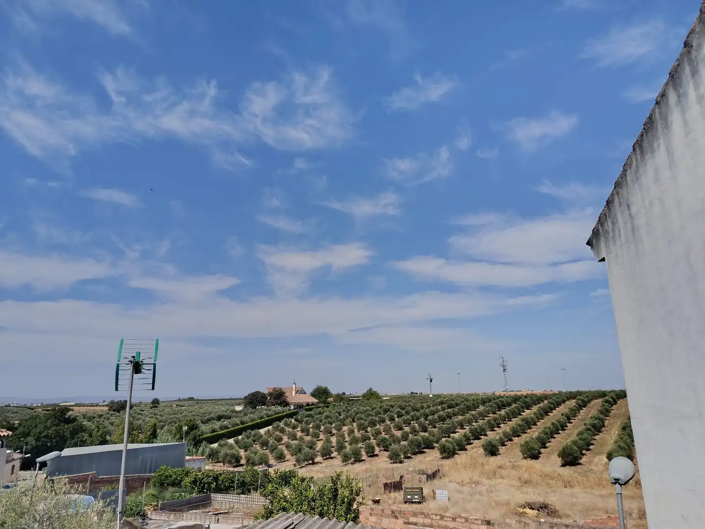 Exterior view of Houses for sale in Fuente Palmera