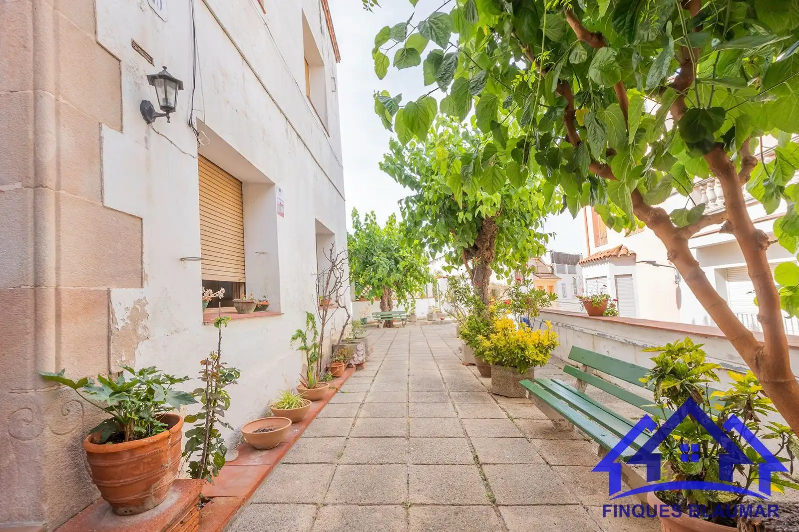 Vista exterior de Finca rústica en venda en Arenys de Mar amb Calefacció, Jardí privat i Terrassa