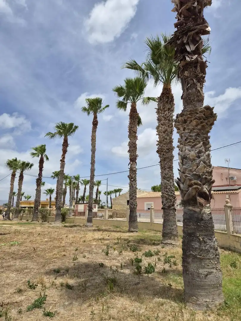 Villa con piscina in vendita a Catral, imagen 15