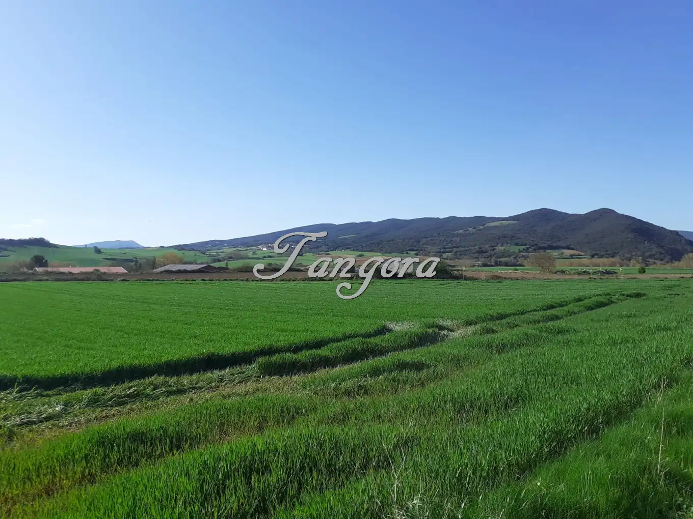 Industrial land for sale in La Puebla de Arganzón 
