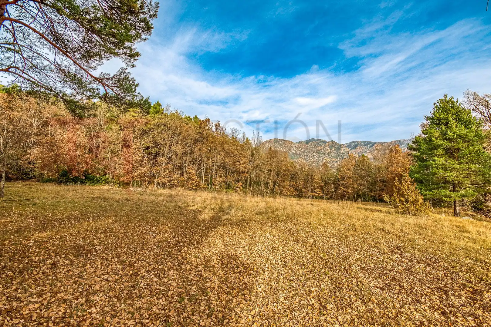 Finca rústica en venta en C-462, 7, Sant Llorenç de Morunys