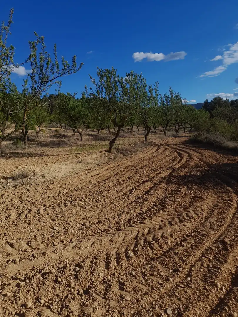 Terreno en venta en El Vilosell