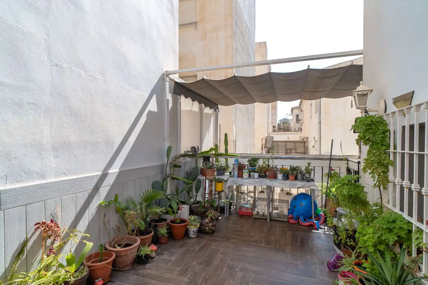 Casa o xalet en venda a Hispanidad - Vivar Téllez