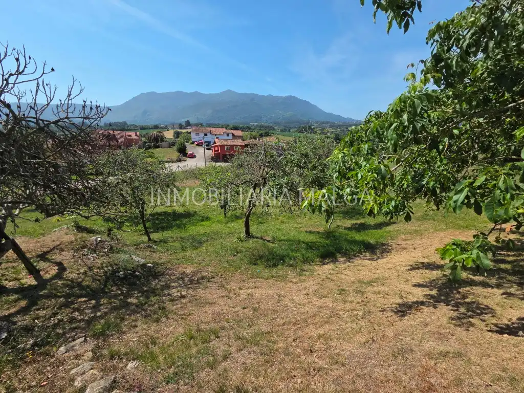 Terrain résidentiel à vendre à Barrio la Torre 3, imagen 5