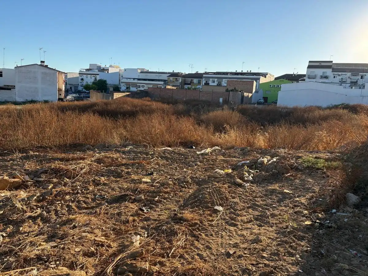 Terrenos y solares en venta en Bollullos Par del Condado, imagen 8