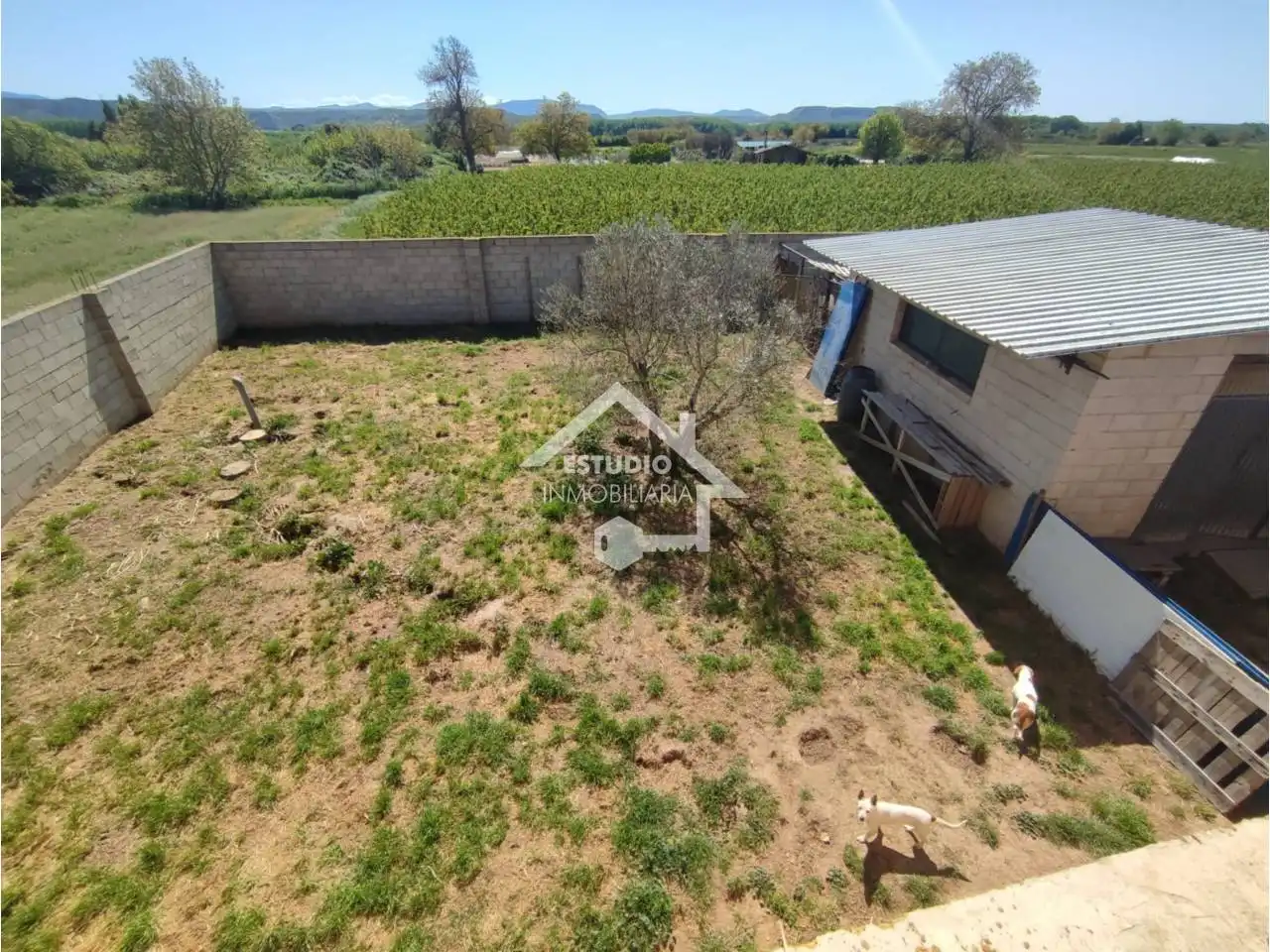 Rural land for sale in Camino Callejada, imagen 17