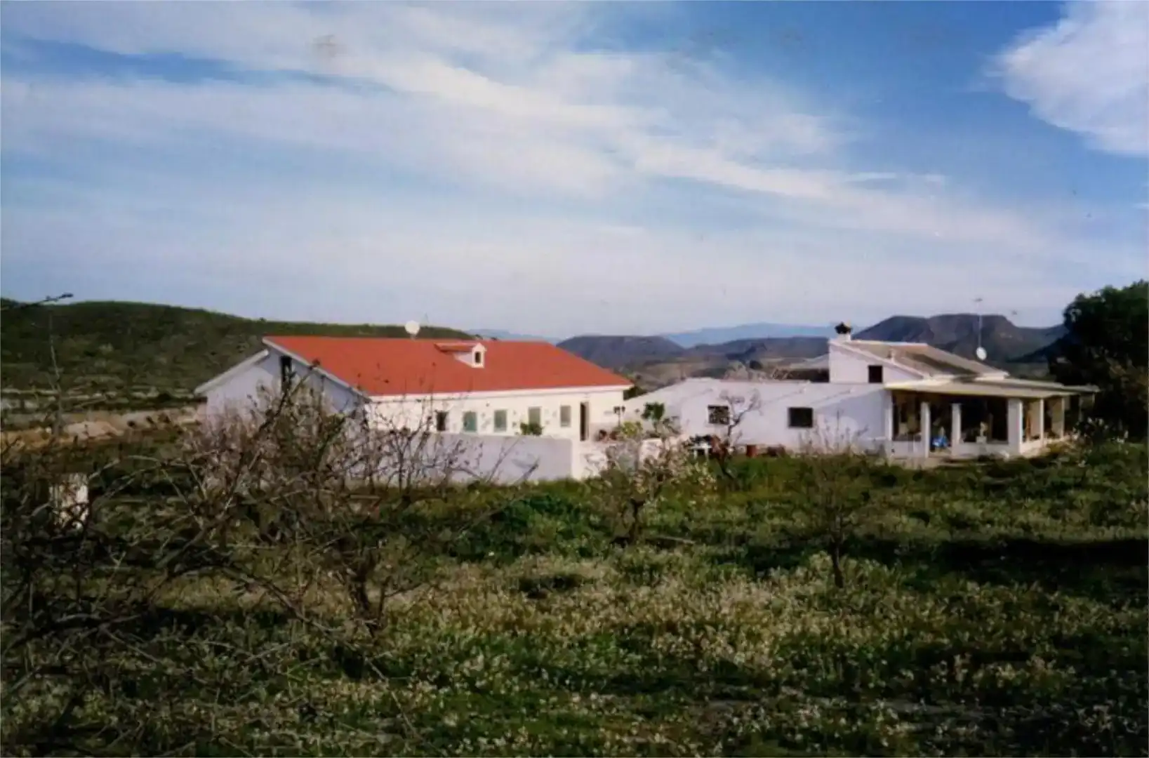 Vista exterior de Finca rústica en venta en Lorca