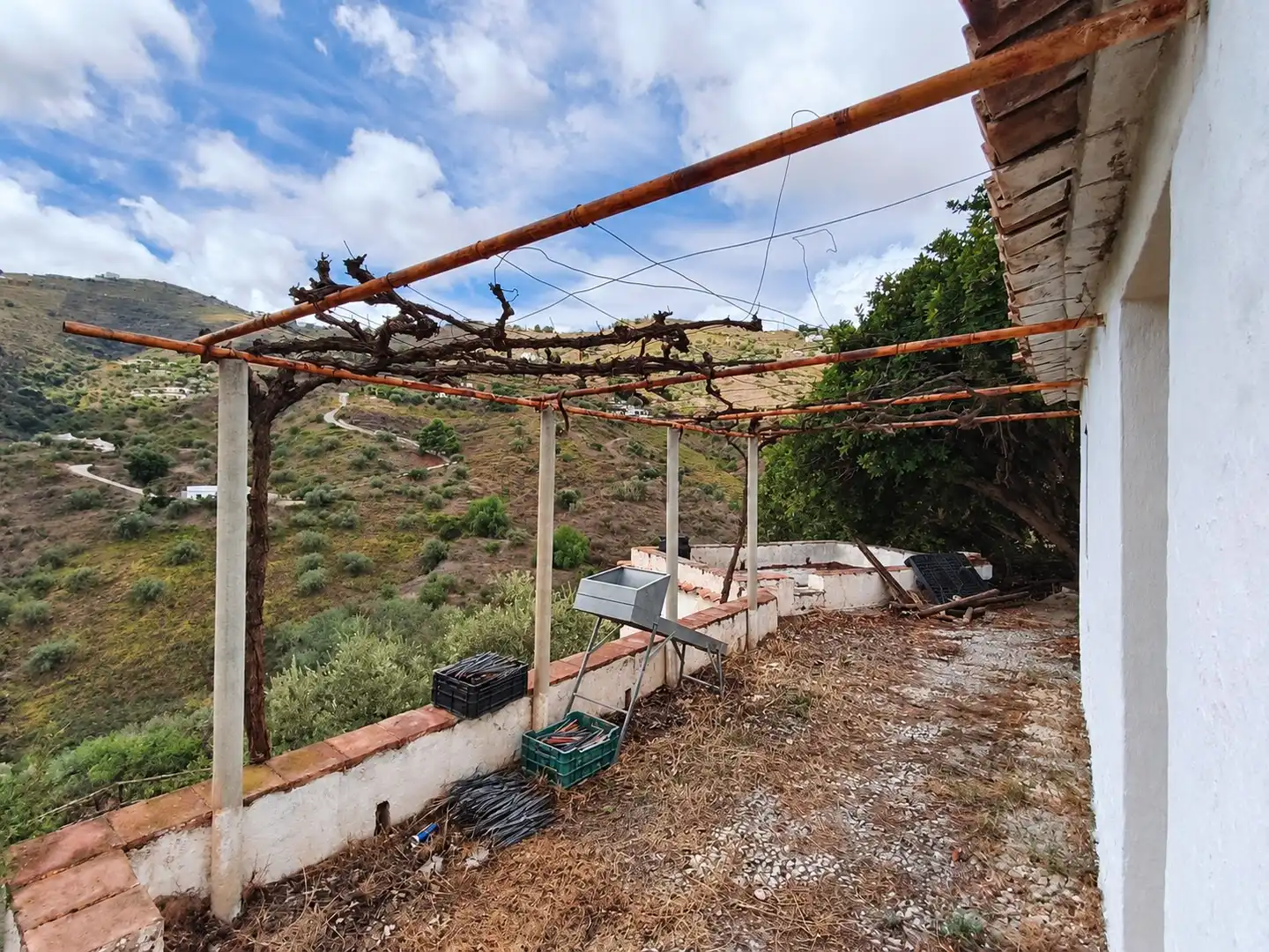 Jardí de Casa o xalet en venda en Cómpeta amb Terrassa i Traster